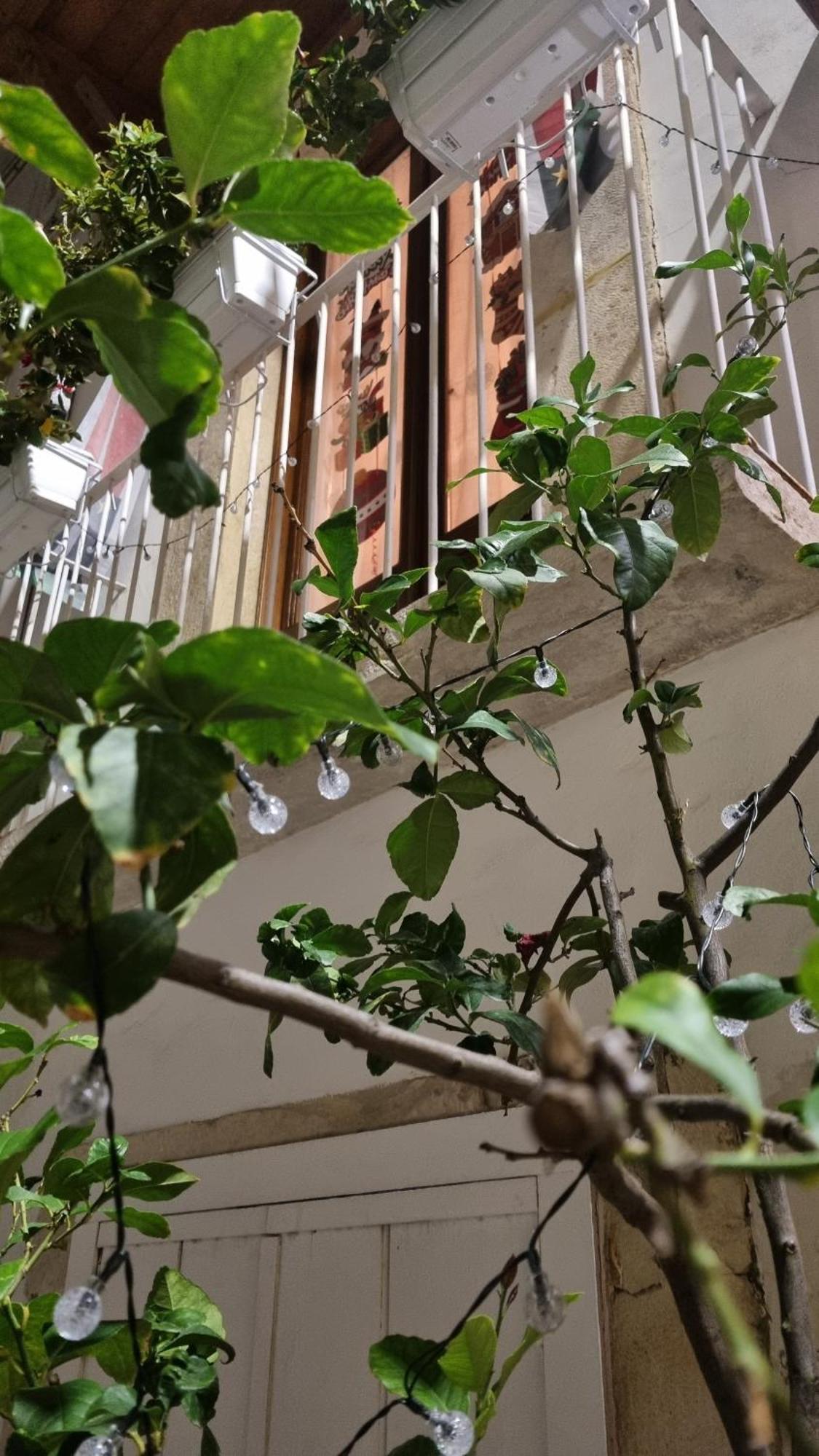 In Parva Domus Apartment Битонто Екстериор снимка